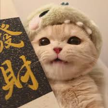 Avatar người dùng